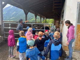 Besuchbauernhof2