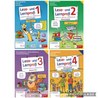 verkleinert_Lese_und_Lernprofi_1_bis_4