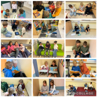 v1
